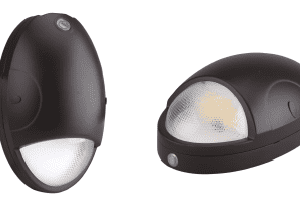 Two black oval LED wall lights.